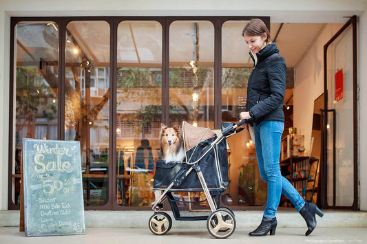 Ibiyaya Monarch Premium Pet Jogger- Luxury Gold | Ibiyaya Pet Stroller 1