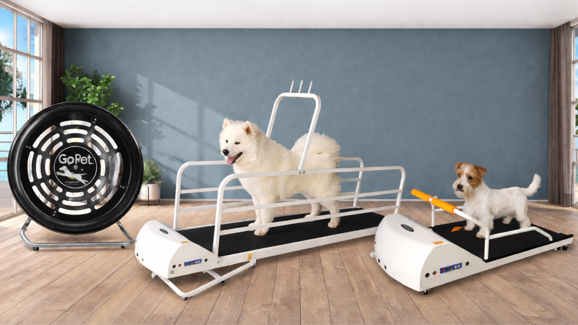 Gopet-Treadmill-for-small-dogs