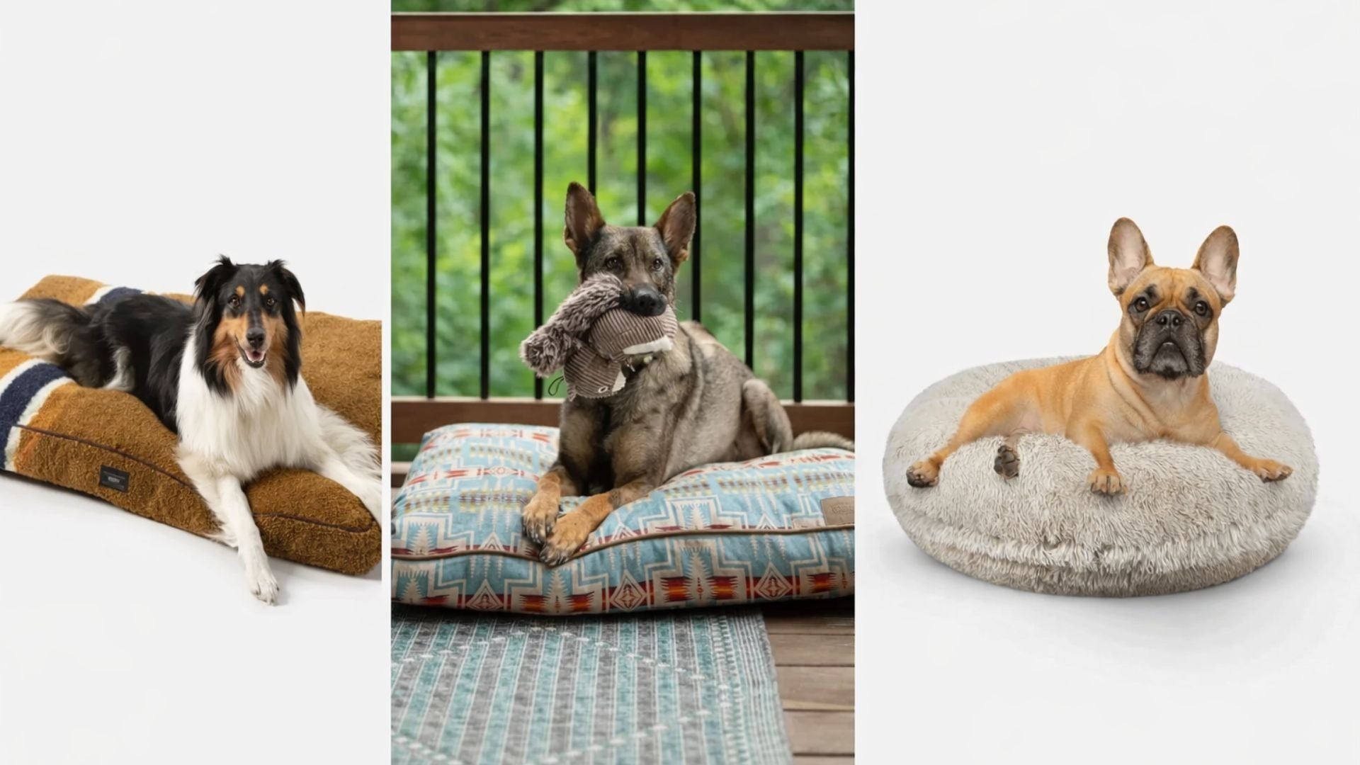 Luxury-Dog-Beds