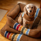 Pendleton Dog Bed | Kuddler Dog Bed | Joshua Tree National Park 5