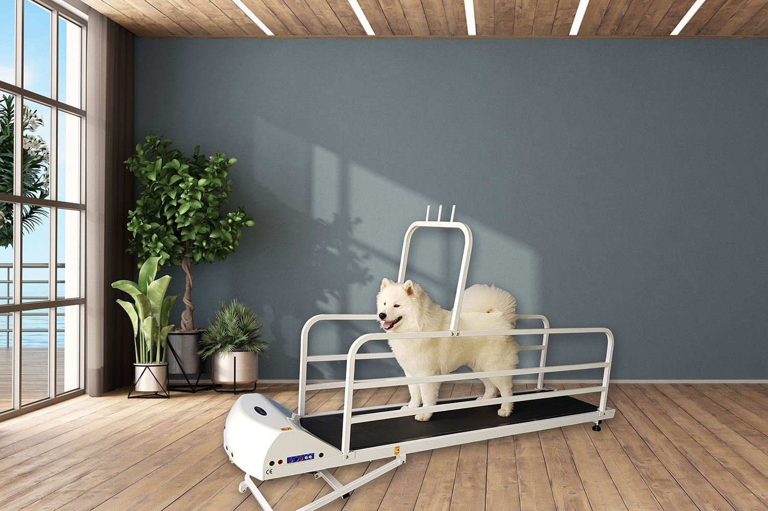 Dog using PetRun PR 725E enclosed treadmill for large dogs in a modern home setting from A Bunny Good Time