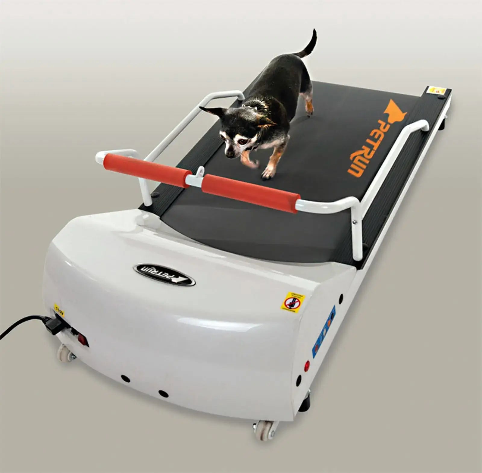 Small Dog Treadmill with a Chihuahua exercising on the PetRun 26" dog treadmill. A Bunny Good Time