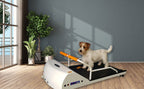 Small Dog Treadmill GoPet PetRun from A Bunny Good Time