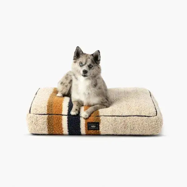 Shinola Dog Bed | Shinola Stripe Napper Pillow Dog Bed - Oatmeal 1