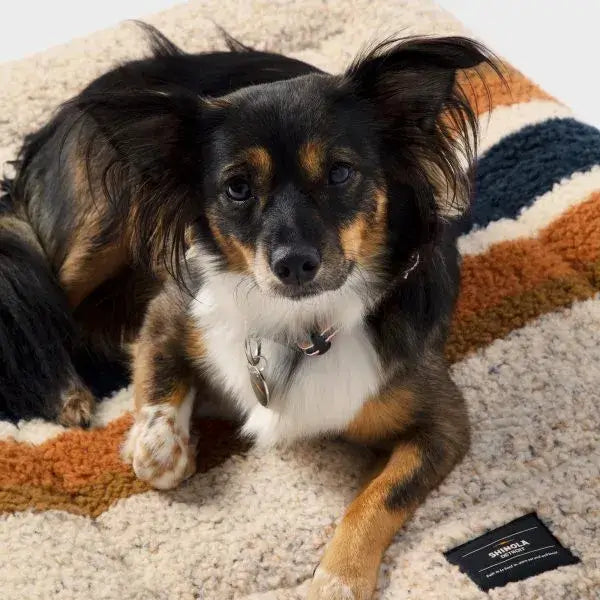 Shinola Dog Bed | Shinola Stripe Comfort Cushion Dog Bed- Oatmeal Shinola Dog Bed | Shinola Stripe Comfort Cushion Oatmeal Dog Crate Mat 3