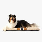 Shinola Dog Bed | Shinola Stripe Comfort Cushion Oatmeal Dog Crate Mat 1