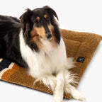 Shinola Dog Bed | Shinola Stripe Comfort Cushion Brown Dog Crate Mat 2