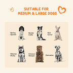Outdoor Dog Kennel with Roof| PawHut Outdoor Dog Kennel with Canopy 3