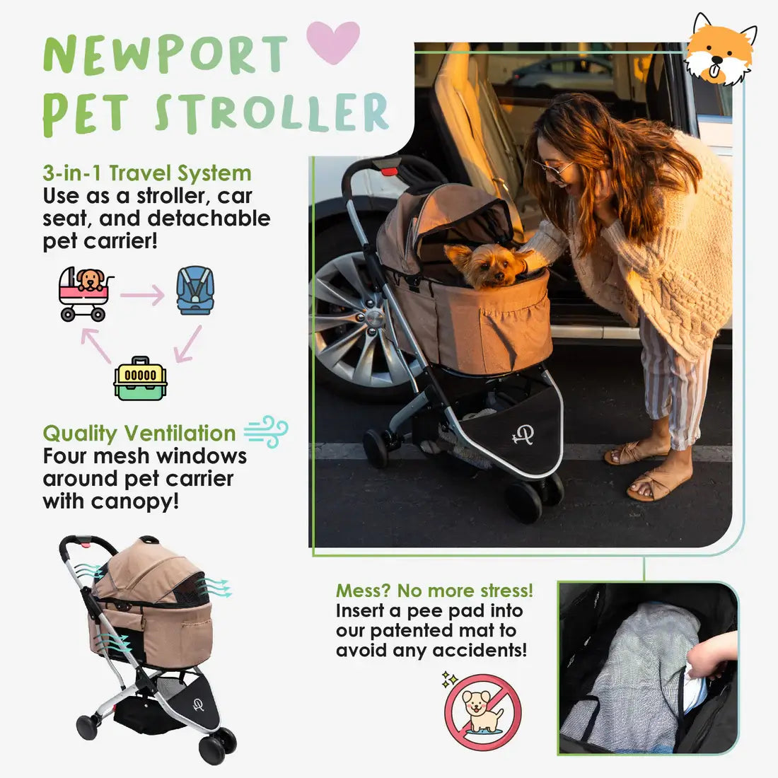Cat Stroller and Carrier- Petique Newport Pet Stroller-Rabbit Stroller Dog Stroller 3