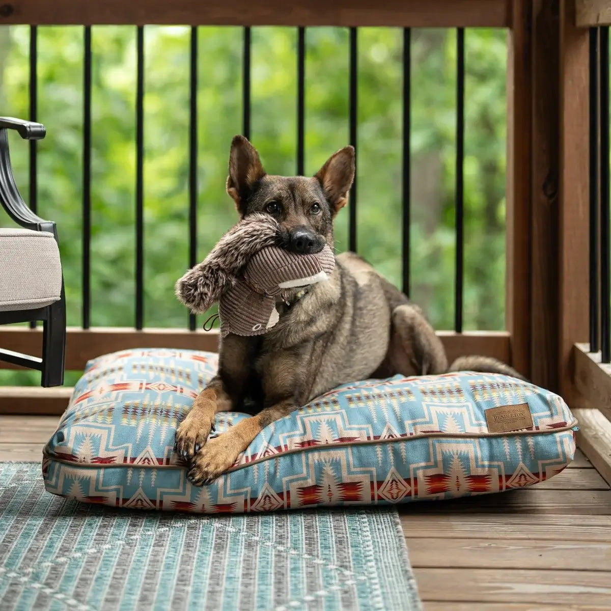 Pendleton dog bed with blue southwestern print and dog resting on it outdoors