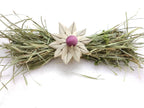 Hay and Kale Bundle | All- Natural Treat - A Bunny Good Time