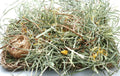 Grassland with Forage Mix -Forage Activity Mat - A Bunny Good Time
